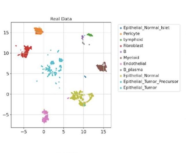 PDAC Real Data UMAP Plot
